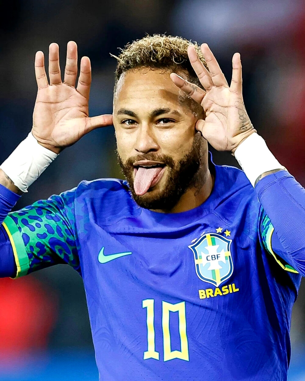 他仍属NB 他仍属NB